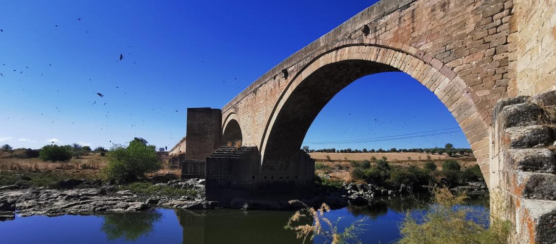ITI Toledo
